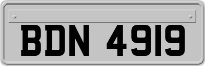 BDN4919