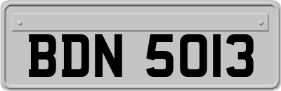 BDN5013