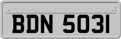 BDN5031