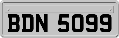 BDN5099