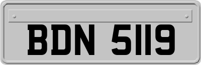 BDN5119