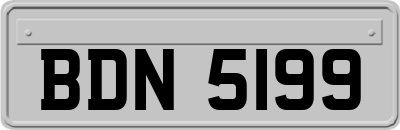 BDN5199