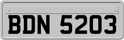 BDN5203
