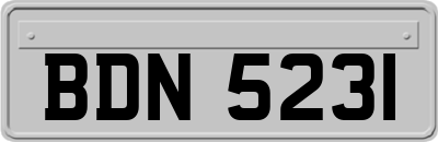 BDN5231