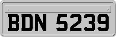 BDN5239