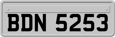 BDN5253