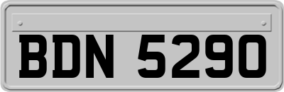 BDN5290