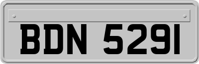 BDN5291