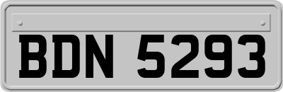 BDN5293