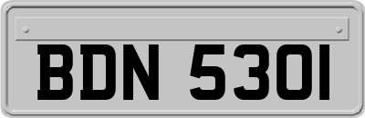 BDN5301
