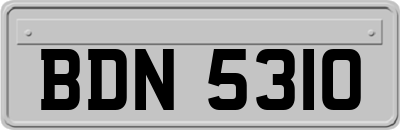 BDN5310