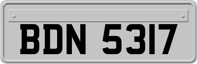 BDN5317