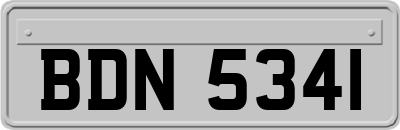 BDN5341