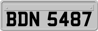 BDN5487