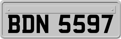 BDN5597