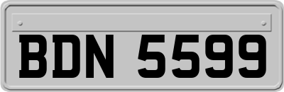 BDN5599