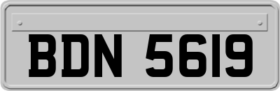 BDN5619