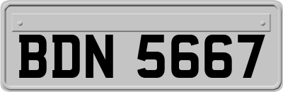 BDN5667