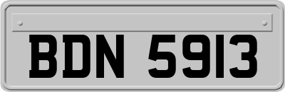 BDN5913