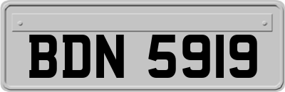 BDN5919