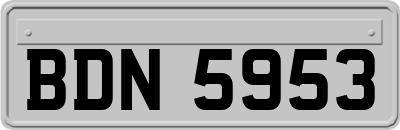 BDN5953