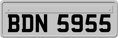BDN5955