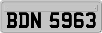 BDN5963