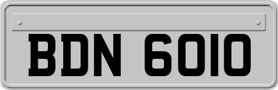 BDN6010