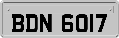 BDN6017