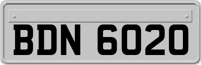 BDN6020