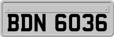 BDN6036