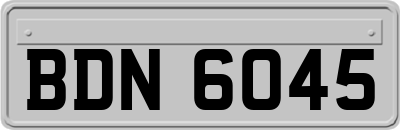 BDN6045