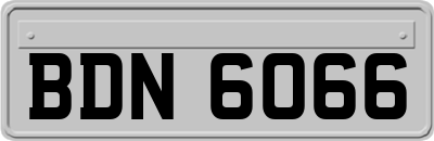 BDN6066