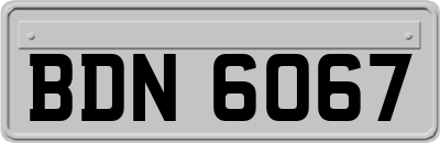BDN6067