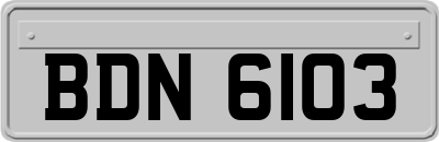 BDN6103