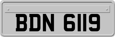 BDN6119