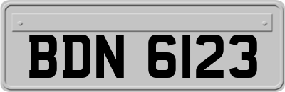BDN6123