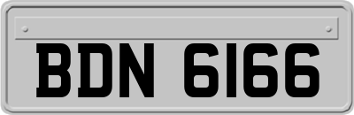 BDN6166