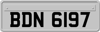 BDN6197