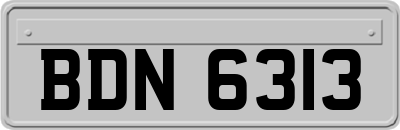 BDN6313