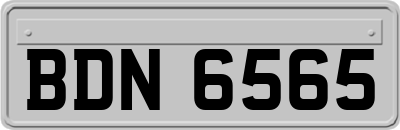 BDN6565