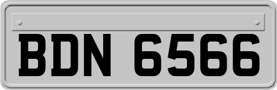 BDN6566