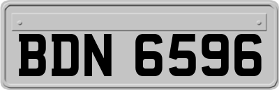 BDN6596