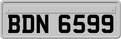 BDN6599