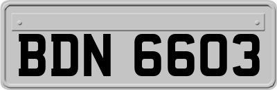BDN6603