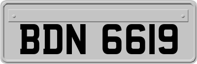 BDN6619
