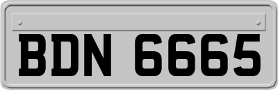 BDN6665