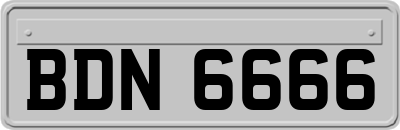 BDN6666