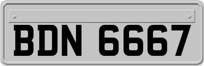 BDN6667