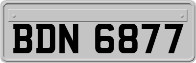 BDN6877